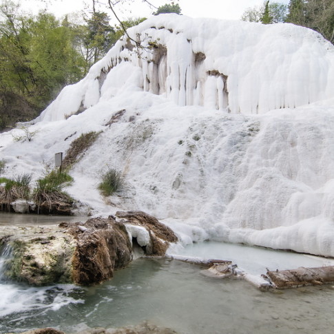 sanfilippo-02-485x485